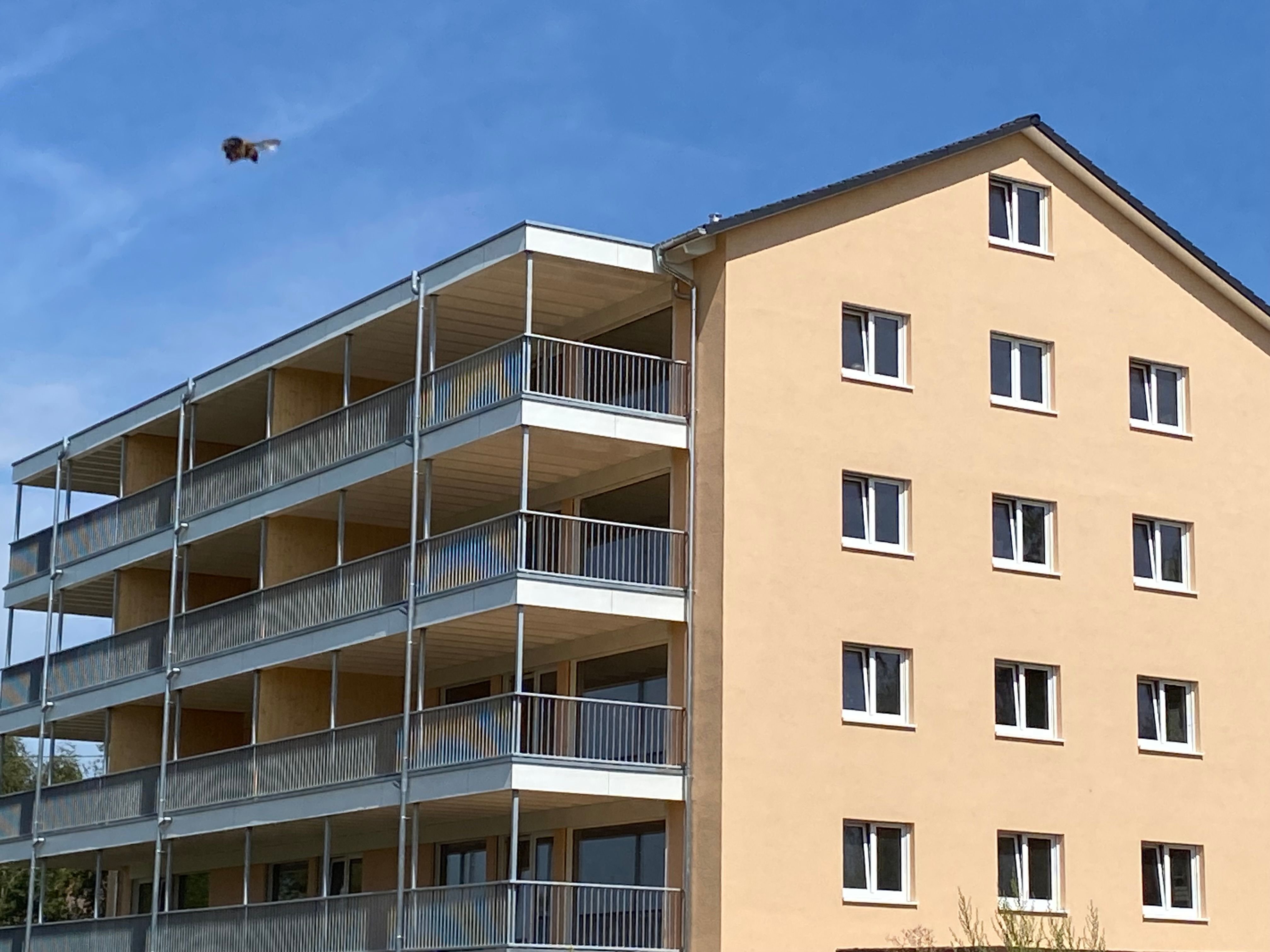 Wohnung zum Kauf provisionsfrei 336.000 € 3 Zimmer 83 m²<br/>Wohnfläche 2.<br/>Geschoss ab sofort<br/>Verfügbarkeit Marbach Villingen-Schwenningen 78052