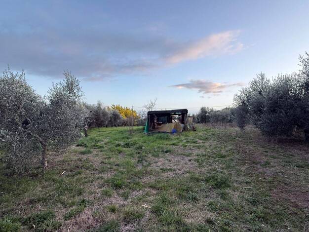 Freizeitgrundstück zum Kauf 43.000 € 2.500 m² Grundstück Follonica 58022