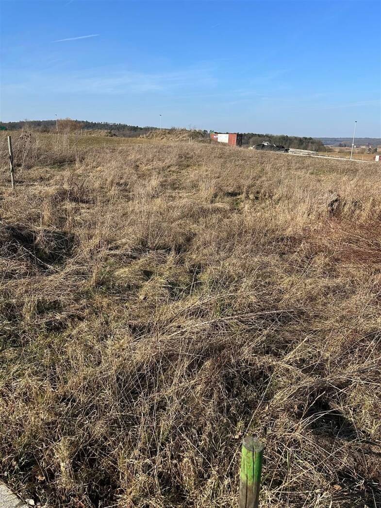 Grundstück zum Kauf 195.000 € 753 m² Grundstück Lutzingen Lutzingen 89440
