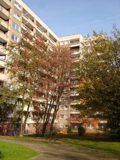 Wohnung zur Miete 440 € 1,5 Zimmer 42,2 m² 2. Geschoss frei ab 01.07.2025 Brückenhofstraße 68 Brückenhof Kassel 34132