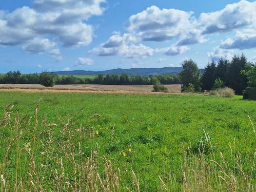 Grundstück zum Kauf provisionsfrei 85.000 € 654 m² Grundstück In der Aue 0 Barchfeld Barchfeld-Immelborn 36456