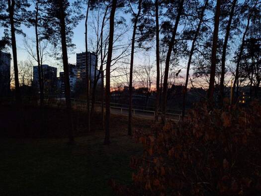 Wohnung zur Miete 1.149 € 3,5 Zimmer 90,1 m² 1. Geschoss frei ab sofort Georg-Krauß-Straße 8 Stadtrandsiedlung Erlangen 91056