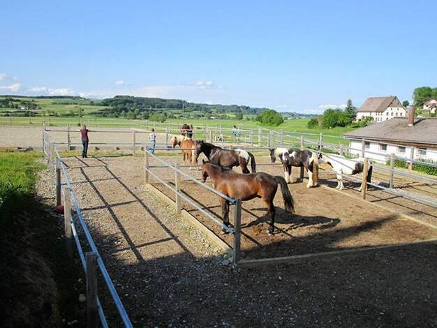 Reiterhof zum Kauf provisionsfrei 1.280.000 € Ringgenbach Messkirch 88605