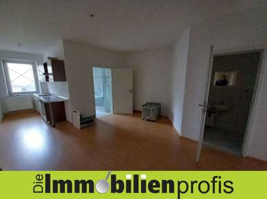 Wohnung zur Miete 950 € 4 Zimmer 140 m² 1. Geschoss frei ab 01.06.2025 Oberes Tor 4 Innenstadt Hof 95028
