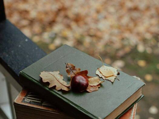 Einfamilienhaus zum Kauf 1.095.900 € 6 Zimmer 252 m² 2.378 m² Grundstück Buchholz 21244