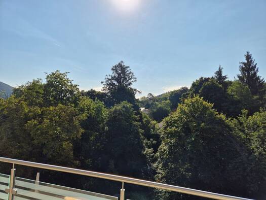 Doppelhaushälfte zum Kauf provisionsfrei 1.650.000 € 7,5 Zimmer 270 m² 538 m² Grundstück frei ab sofort Innenstadt Baden-Baden 76530