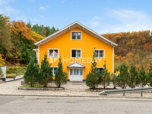 Mehrfamilienhaus zum Kauf 1.249.000 € 26 Zimmer 687 m² 5.521 m² Grundstück Burg-Hohenstein Hohenstein 65329