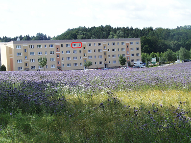 Wohnung zur Miete 360 € 3 Zimmer 60 m² 3. Geschoss frei ab sofort An der Gärtnerei 73 b Warmbad Wolkenstein 09429