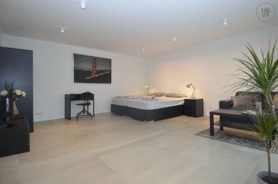 Wohnung zur Miete Wohnen auf Zeit 1.490 € 1 Zimmer 62 m² frei ab sofort Ginsheim-Gustavsburg 65462