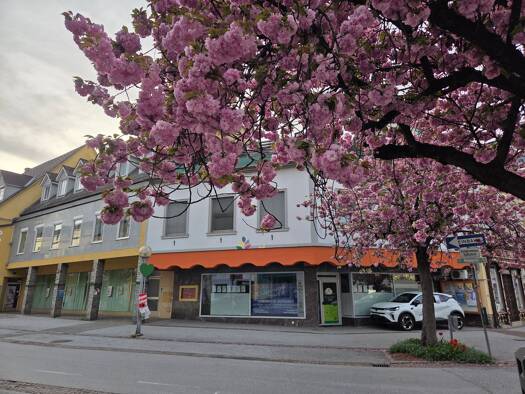 Sonstiges zur Miete 9 € 155 m² Deutschlandsberg 8530