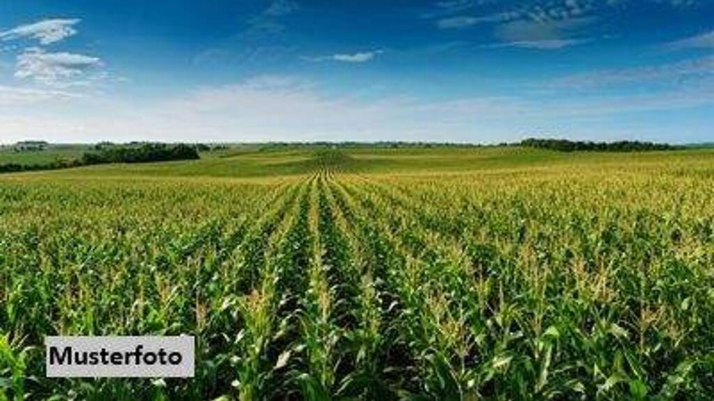 Land-/Forstwirtschaft zum Kauf 12.570 € 5.467 m² Grundstück Eich Andernach 56626