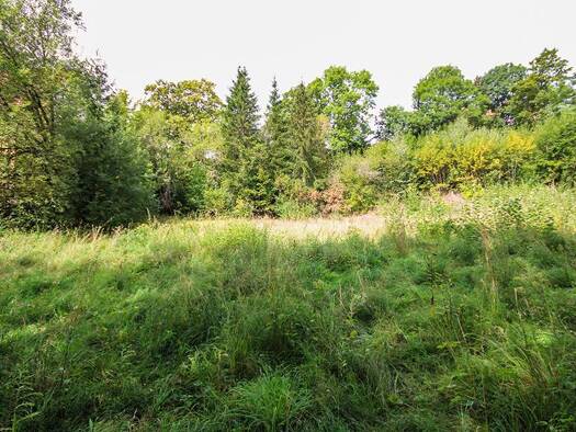 Grundstück zum Kauf 568.700 € 12.100 m² Grundstück St. Andreasberg Braunlage 37444