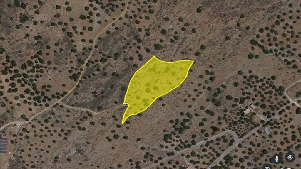 Grundstück zum Kauf 177.000 € 7.300 m² Grundstück Kreta Kato Pine 720 53