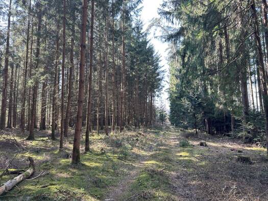 Land-/Forstwirtschaft zum Kauf 78.000 € 10.460 m² Grundstück Babensham Babensham 83547