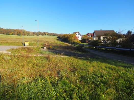 Gewerbegrundstück zum Kauf 20.000 € 382 m² Grundstück Rieschweiler Rieschweiler-Mühlbach 66