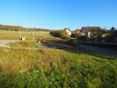 Gewerbegrundstück zum Kauf 20.000 € 382 m² Grundstück Rieschweiler Rieschweiler-Mühlbach 66