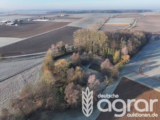 Land-/Forstwirtschaft zum Kauf 19.900 € 12.281 m² Grundstück Kirchhausen Heilbronn 74078