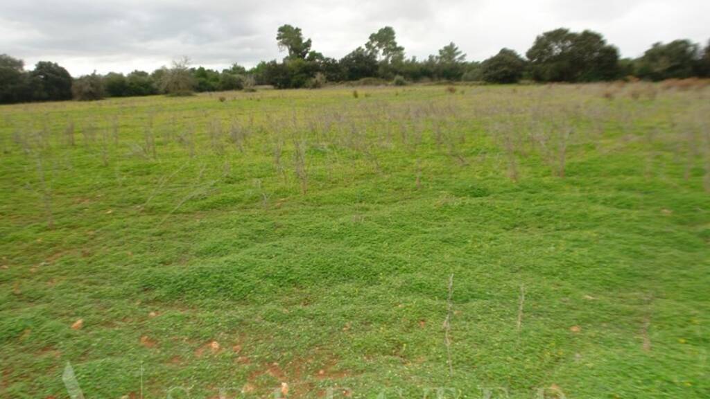 Grundstück zum Kauf 235.000 € 16.426 m² Grundstück Porreres 07260