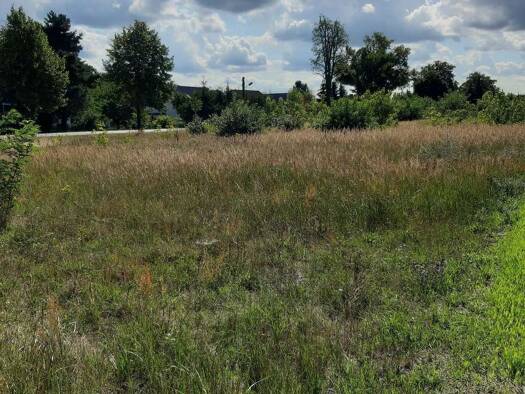 Grundstück zum Kauf provisionsfrei 82.990 € 1.065 m² Grundstück Beeskower Straße Stadt Friedland Friedland 15848