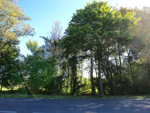 Land-/Forstwirtschaft zum Kauf 895.000 € 4.390 m² Grundstück Fleestedt Seevetal 21217