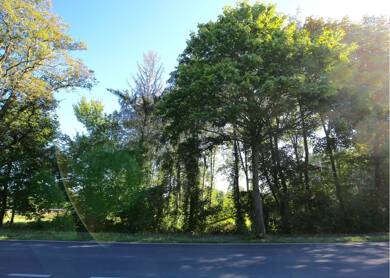 Land-/Forstwirtschaft zum Kauf 895.000 € 4.390 m² Grundstück Fleestedt Seevetal 21217