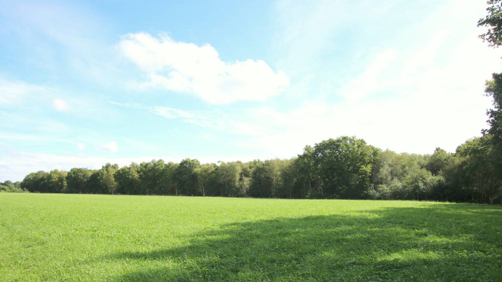 Land-/Forstwirtschaft zum Kauf 45.000 € 18.462 m² Grundstück Edewecht 26188