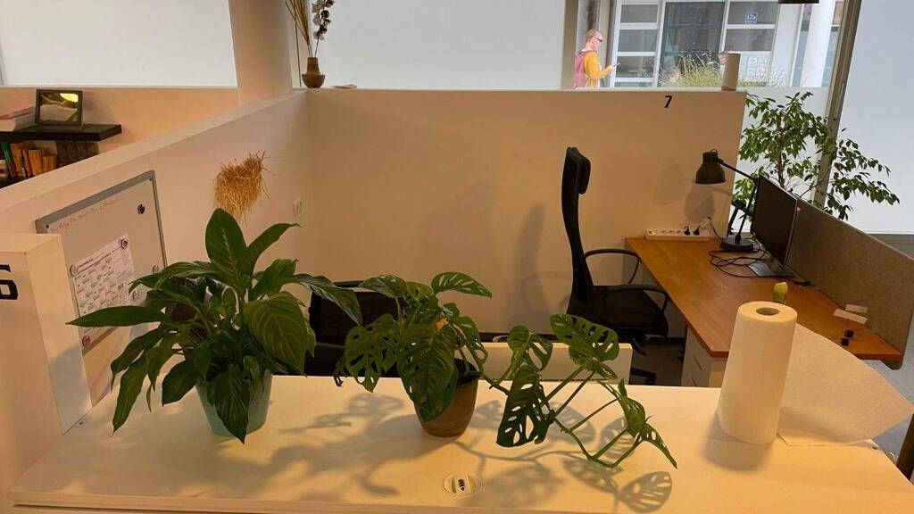 Bürofläche zur Miete provisionsfrei 147 € 4 m² Bürofläche Fürstenweg Freilassing 83395