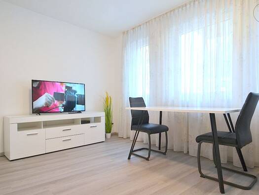 Wohnung zur Miete Wohnen auf Zeit 690 € 1 Zimmer 24 m² frei ab 01.11.2025 Nürnberg 90403
