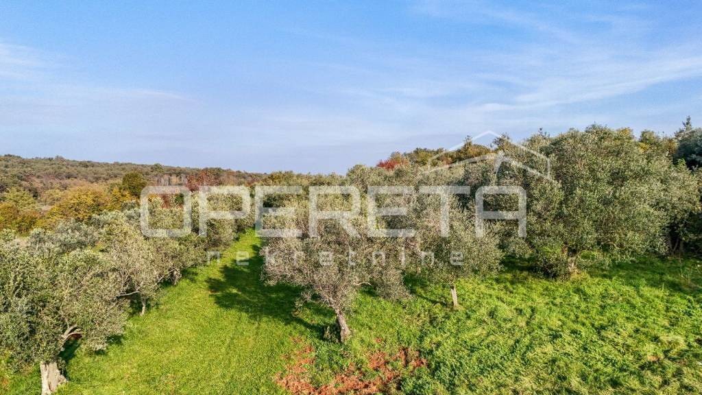 Land-/Forstwirtschaft zum Kauf 80.000 € Buje