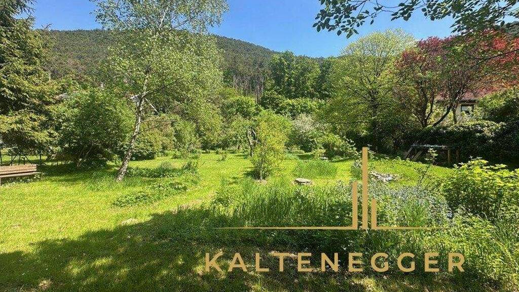 Grundstück zum Kauf 994.000 € 1.420 m² Grundstück Hinterbrühl 2371