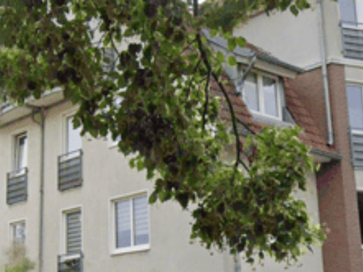 Loft zur Miete 510 € 1,5 Zimmer 50 m² Geschoss 2/3 frei ab sofort Hohen Neuendorf 16540