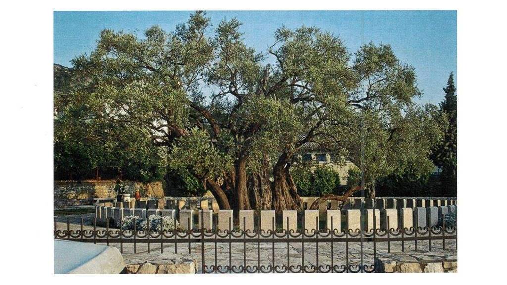 Wohnung zum Kauf 168.000 € 5 Zimmer 165 m² frei ab sofort OT Brkanovic Bar 85000