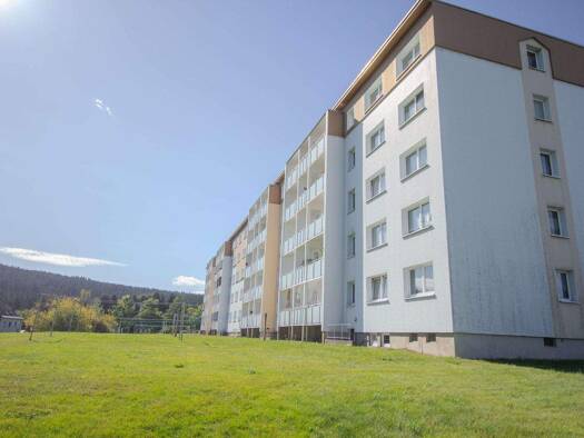 Studio zur Miete 230 € 2 Zimmer 46 m² Hammerbrücker Str. 7C Tannenbergsthal 08262