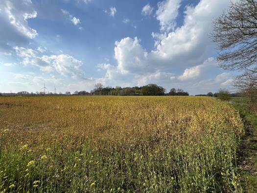 Land-/Forstwirtschaft zum Kauf 365.000 € 23.113 m² Grundstück Gescher Gescher 48712