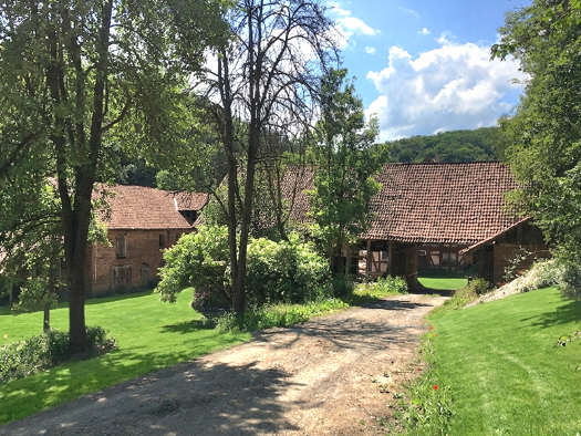 Haus zum Kauf provisionsfrei 800.000 € 9 Zimmer 300 m² 50.000 m² Grundstück Waldeck 34513