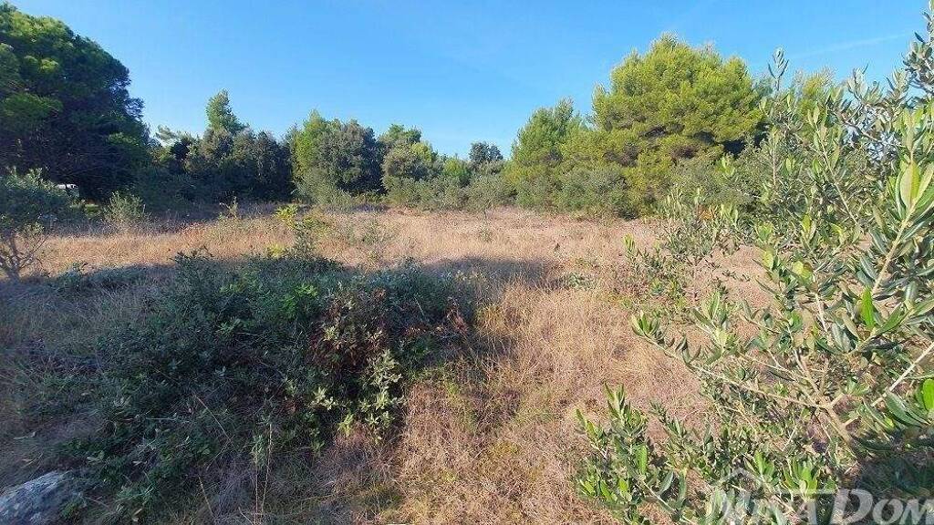 Land-/Forstwirtschaft zum Kauf 35.000 € Vir