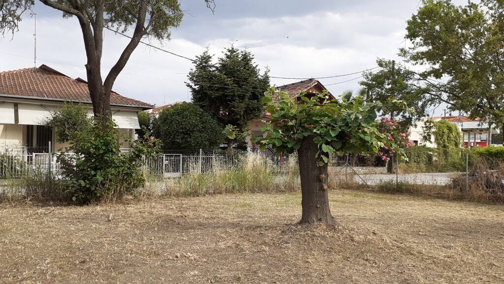 Land-/Forstwirtschaft zum Kauf 110.000 € 388 m² Grundstück Olympische Riviera