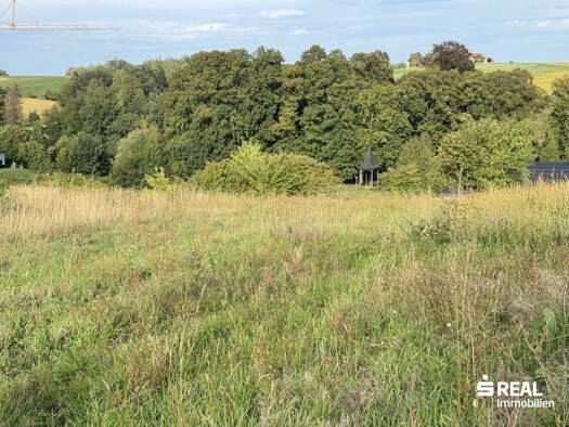 Grundstück zum Kauf 250.000 € 1.030 m² Grundstück Grieskirchen 4710