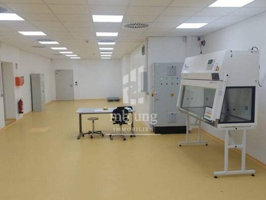 Produktionshalle zur Miete 1.309 m² Lagerfläche Erbach Homburg 66424