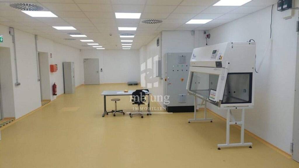 Produktionshalle zur Miete 1.309 m² Lagerfläche Erbach Homburg 66424