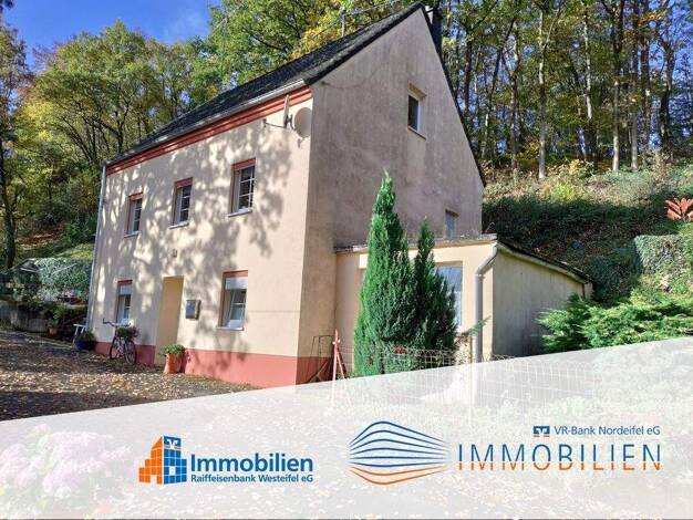 Einfamilienhaus zum Kauf 225.000 € 7 Zimmer 155 m² 620 m² Grundstück Pronsfeld 54597