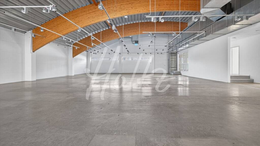 Werkstatt zur Miete provisionsfrei 5.426 € 570 m² Lagerfläche Alte Bundesstraße 1 Gundelfingen 79194