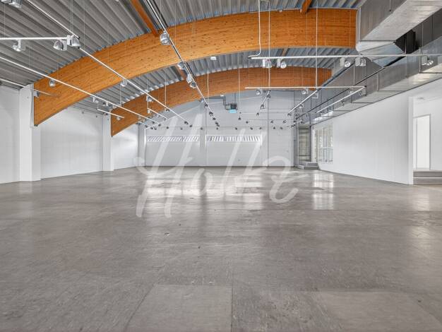 Werkstatt zur Miete 4.560 € 570 m² Lagerfläche Alte Bundesstraße 1 Gundelfingen Gundelfingen 79194