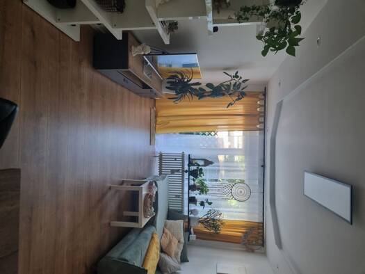 Wohnung zur Miete 775 € 2 Zimmer 66 m² Düren 52349