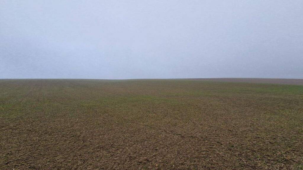 Land-/Forstwirtschaft zum Kauf 230.632 € 28.829 m² Grundstück Großmugl 2002