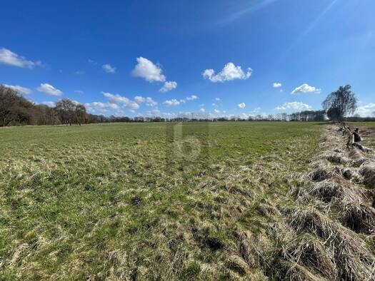 Land-/Forstwirtschaft zum Kauf 450.000 € 89.832 m² Grundstück Oststeinbek 22113