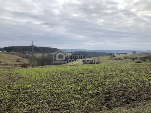 Grundstück zum Kauf 6.707 m² Grundstück Weichselbaum 8382