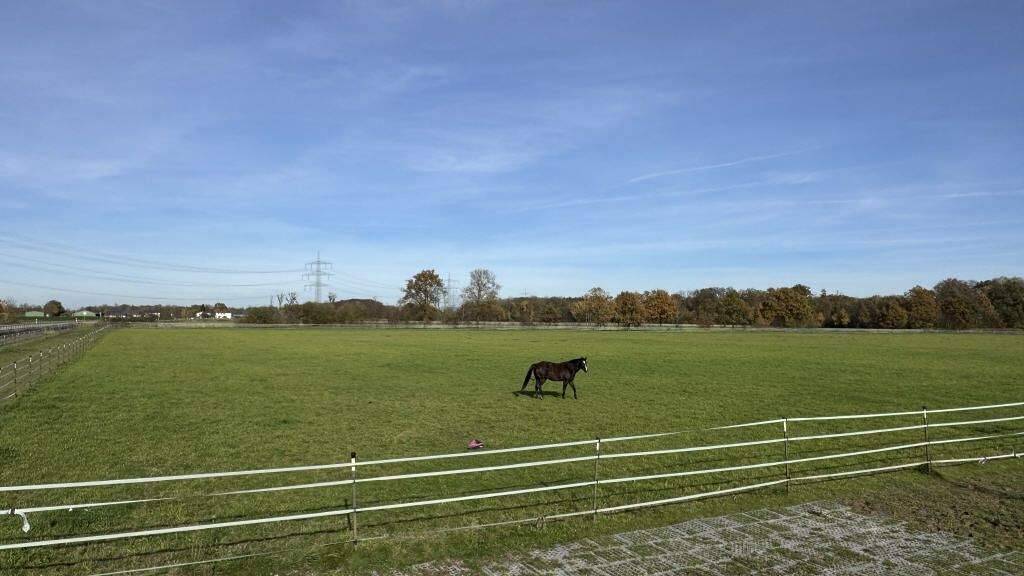 Reiterhof zum Kauf 8.522 m² Grundstück Renchen 77871