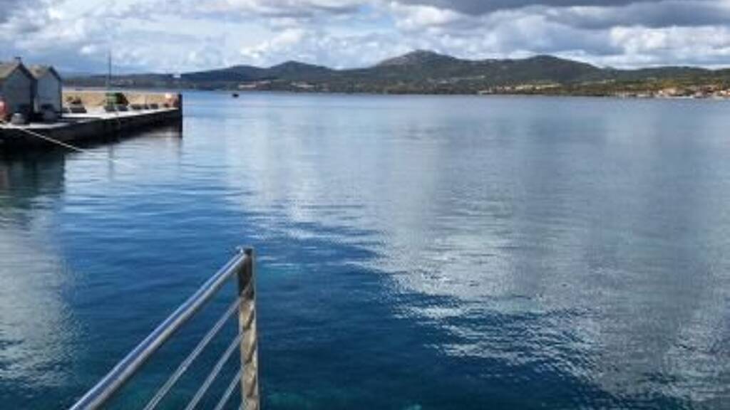 Studio zum Kauf 245.000 € 2 Zimmer 60 m² golfo aranci