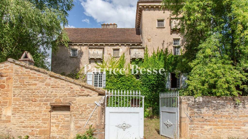 Einfamilienhaus zum Kauf 350.000 € 6 Zimmer 175 m² 735 m² Grundstück Centre Nord Mâcon 71000